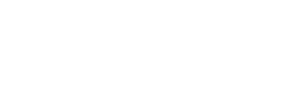 DefensX Partner
